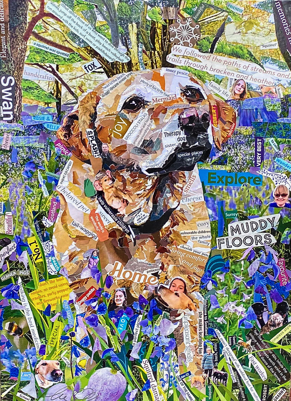 Collage pet portrait