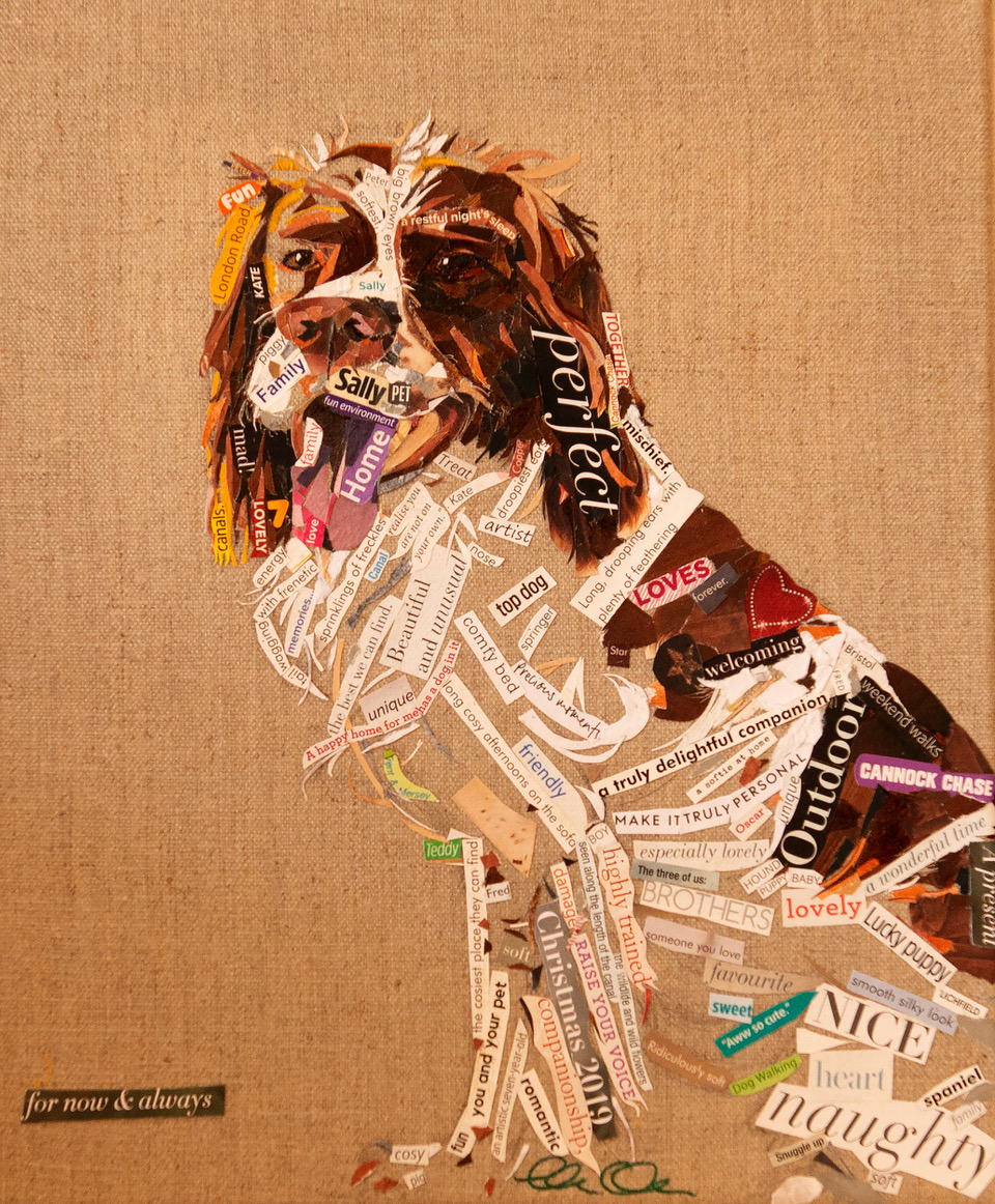 Collage pet portrait