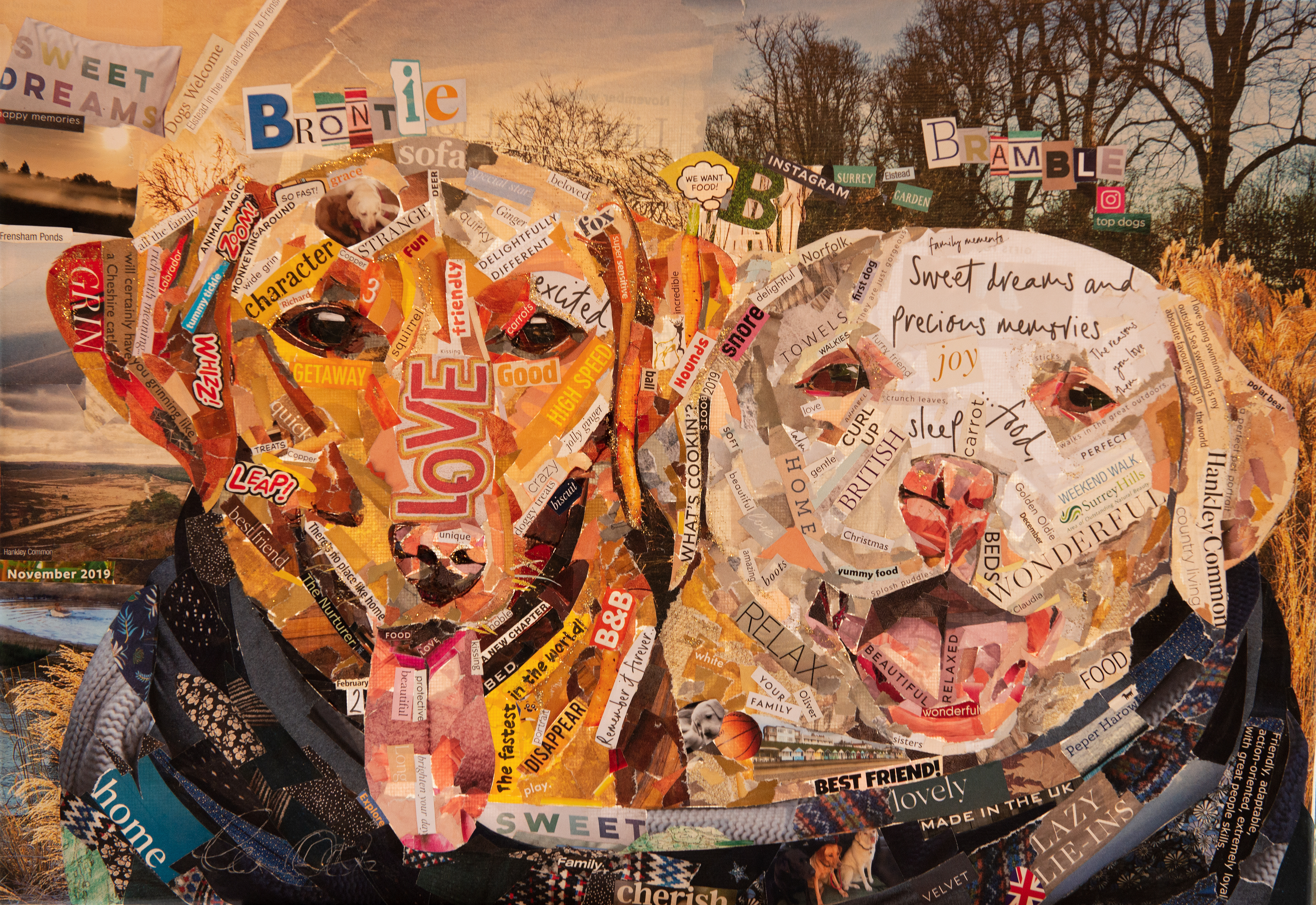 Collage pet portrait