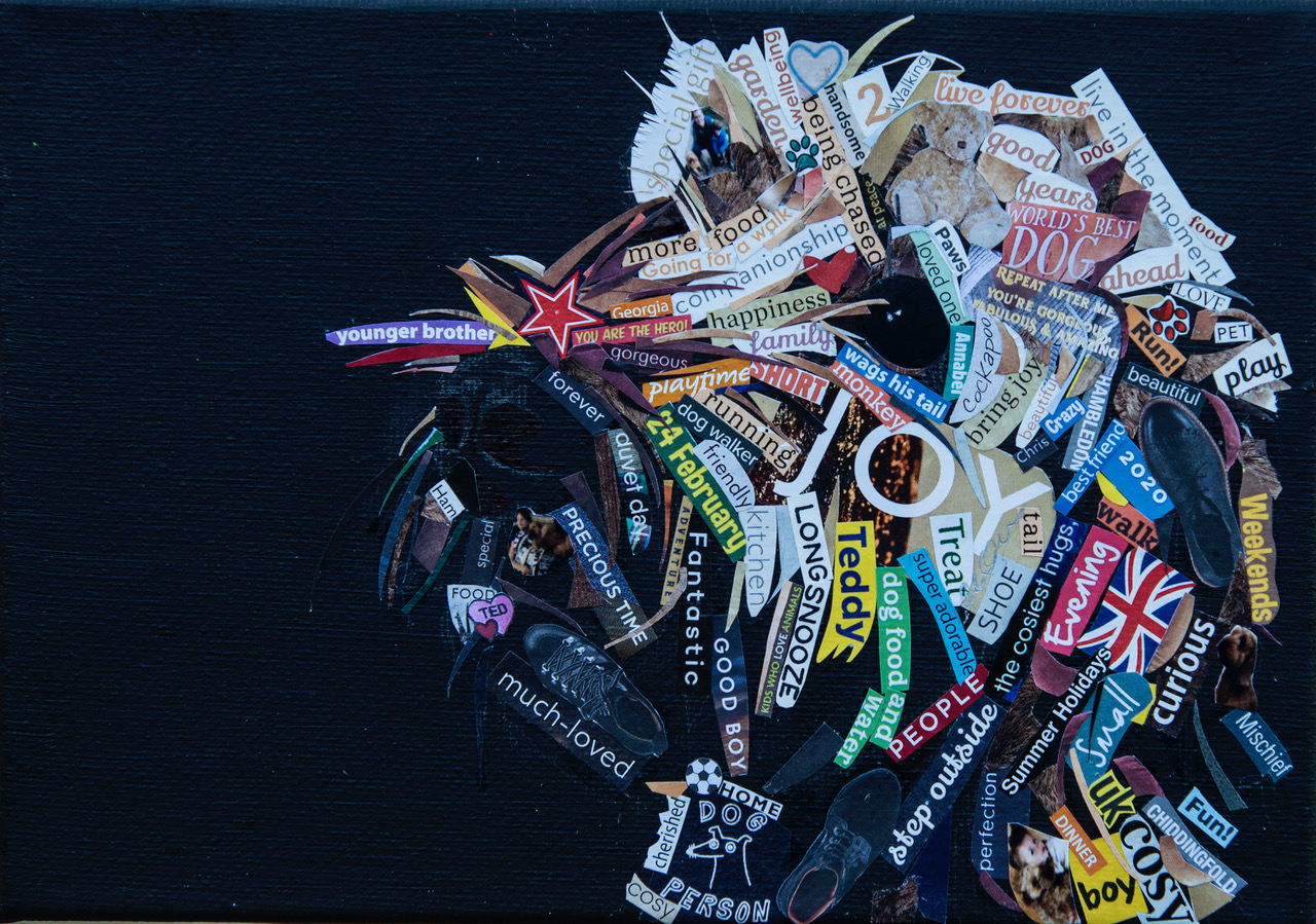 Collage pet portrait