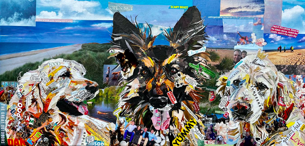 Collage pet portrait